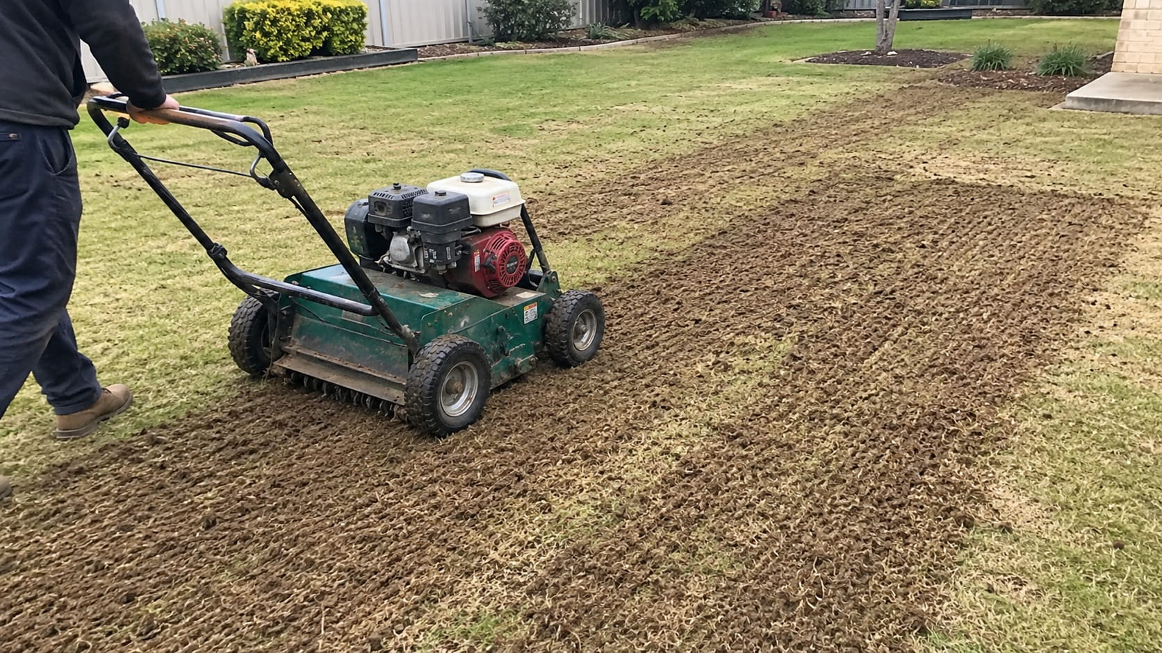 Lawn being dethatched in Perth