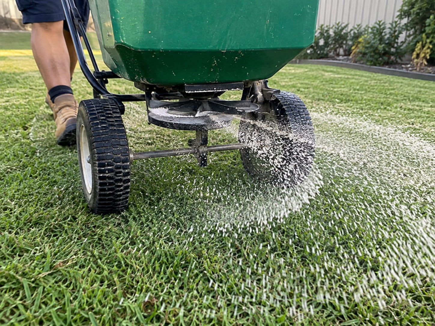 Healthy, well-fertilised lawn in Perth