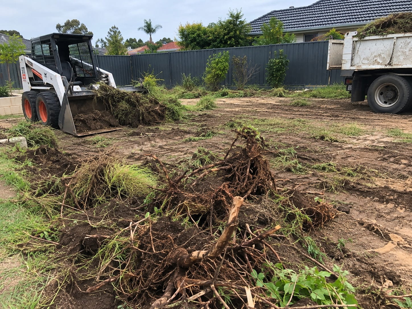 Weeds and roots being cleared from a Perth yard