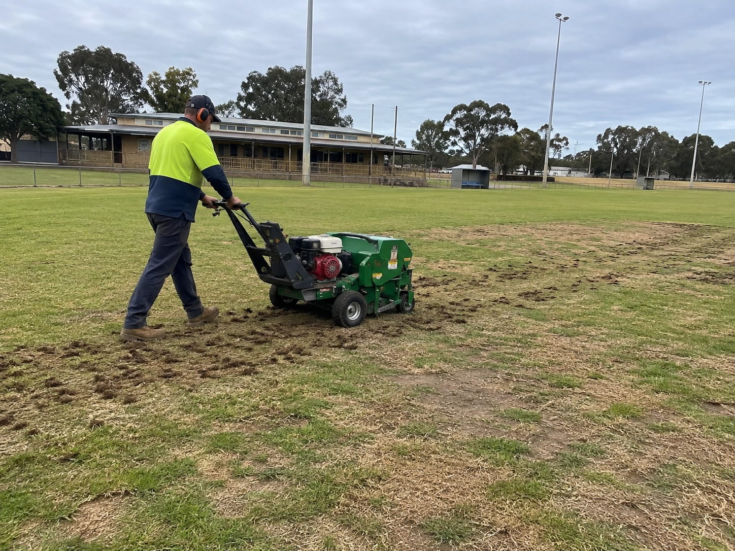 Lawn being aerated in Perth